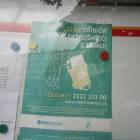 zdjęcie nr 21