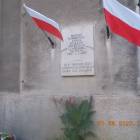 zdjęcie nr 295