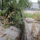 zdjęcie nr 32