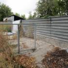 zdjęcie nr 39