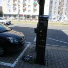 zdjęcie nr 7