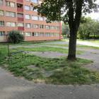 Fotka nr 1 z 23