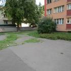 zdjęcie nr 15