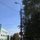 Fotka nr 5 z 39