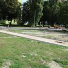 zdjęcie nr 11