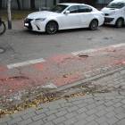 zdjęcie nr 8