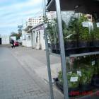 zdjęcie nr 10