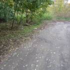zdjęcie nr 8