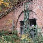 zdjęcie nr 46