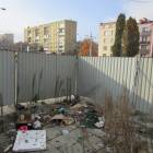 zdjęcie nr 31