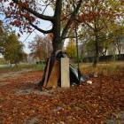 TIPI?