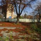 zdjęcie nr 46