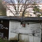 zdjęcie nr 8