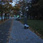 zdjęcie nr 7