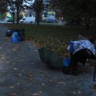 zdjęcie nr 8
