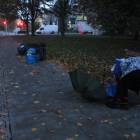 zdjęcie nr 10