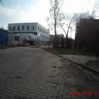 zdjęcie nr 7