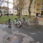 Fotka nr 2 z 13