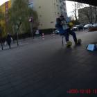 Fotka nr 3 z 34