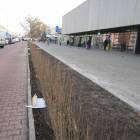 zdjęcie nr 28