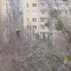 zdjęcie nr 13