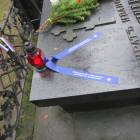 zdjęcie nr 44
