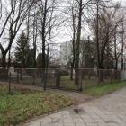zdjęcie nr 12