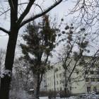 zdjęcie nr 16