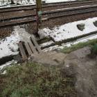 zdjęcie nr 31