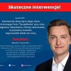 Fotka nr 0 z 24