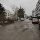 zdjęcie nr 48