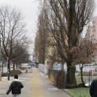 zdjęcie nr 11