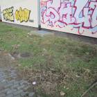 Fotka nr 4 z 32