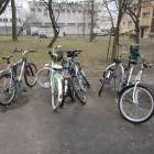 zdjęcie nr 8