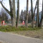 Fotka nr 2 z 40