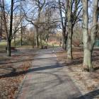 zdjęcie nr 33
