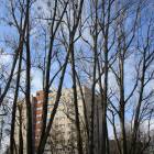 zdjęcie nr 38