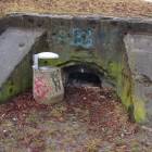 zdjęcie nr 8