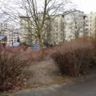 zdjęcie nr 28