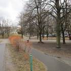 zdjęcie nr 30