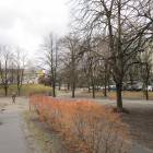 zdjęcie nr 31