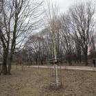zdjęcie nr 70