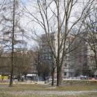 zdjęcie nr 22
