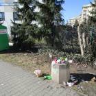 zdjęcie nr 17