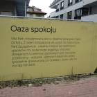zdjęcie nr 14