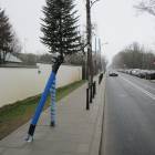zdjęcie nr 8