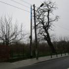 zdjęcie nr 12