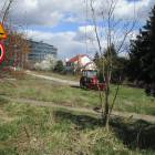 zdjęcie nr 26