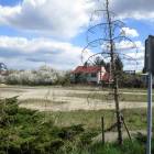 zdjęcie nr 31