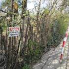 zdjęcie nr 48